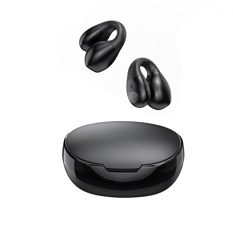 Ergonomic Bluetooth Earhook True Wireless Earbuds with Charging Case