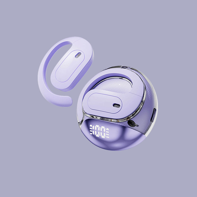 Lightweight Earhook True Wireless Earbuds LED Battery Display Case