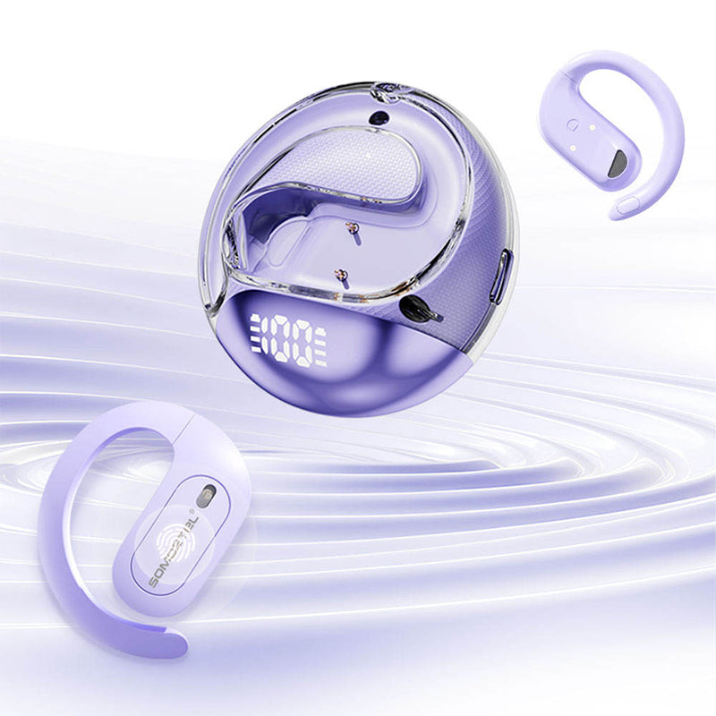 Lightweight Earhook True Wireless Earbuds LED Battery Display Case