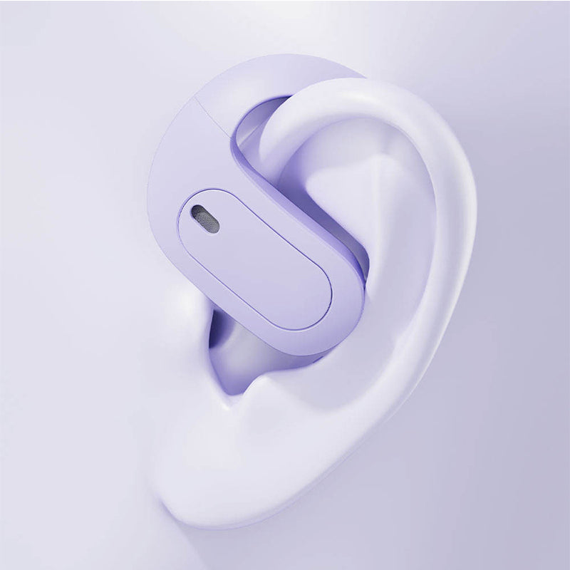 Lightweight Earhook True Wireless Earbuds LED Battery Display Case