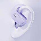 Lightweight Earhook True Wireless Earbuds LED Battery Display Case