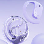 Lightweight Earhook True Wireless Earbuds LED Battery Display Case