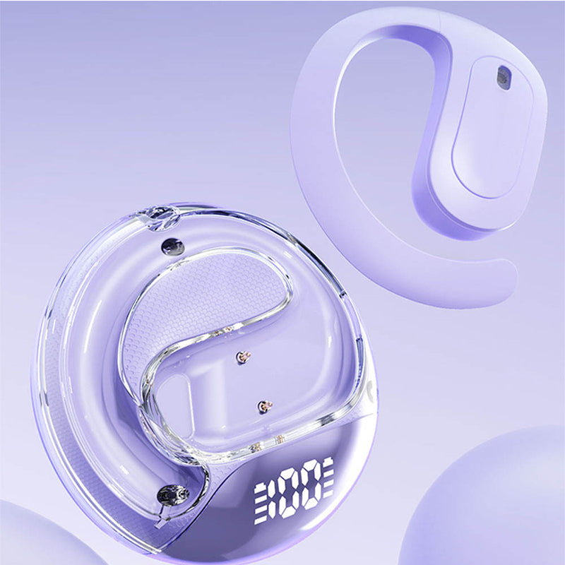 Lightweight Earhook True Wireless Earbuds LED Battery Display Case