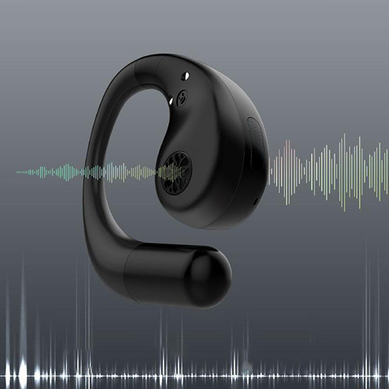 Earhook True Wireless Earbuds with Protective Charging Case