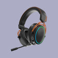RGB Light Gaming Headset with Detachable Mic Surround Sound