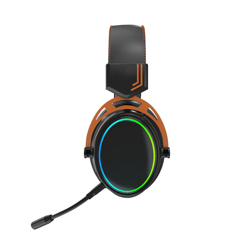 RGB Light Gaming Headset with Detachable Mic Surround Sound