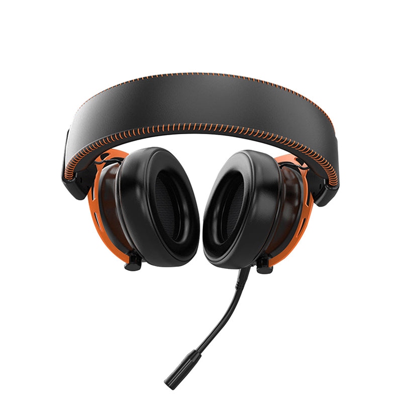 RGB Light Gaming Headset with Detachable Mic Surround Sound