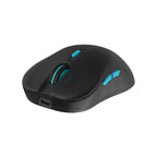 Minimalist Style Wireless Mouse with Silent Design