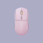Portable Wireless Mouse with Stylish Appearance