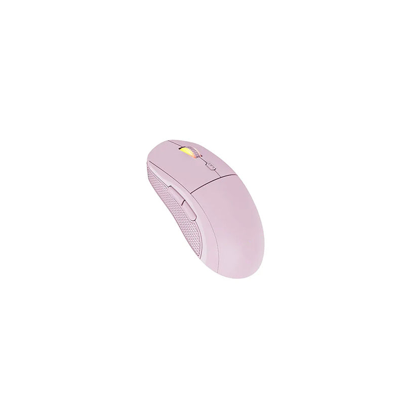 Portable Wireless Mouse with Stylish Appearance
