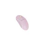 Portable Wireless Mouse with Stylish Appearance