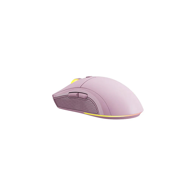 Portable Wireless Mouse with Stylish Appearance