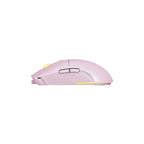 Portable Wireless Mouse with Stylish Appearance